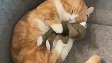 so cute 🥺❤️