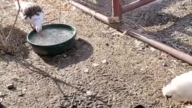 Ark of Grace...December 25 Buffet Spread At The Sanctuary!!