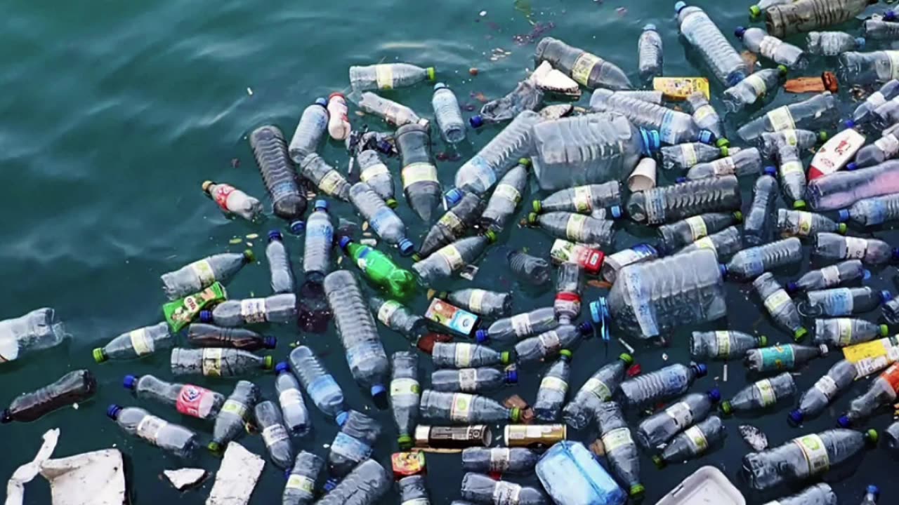 Now They Want Us To Eat Plastic To Help Save The Environment