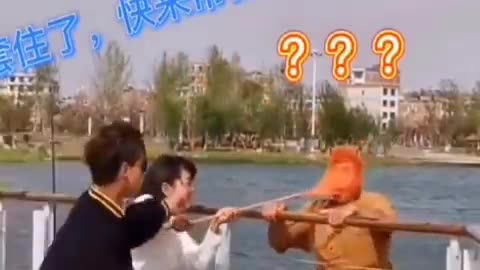 Funny video clip 4