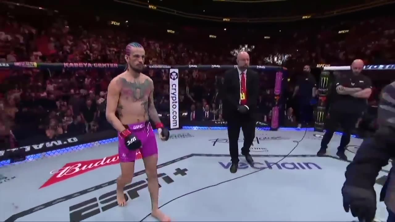 UFC 299: Sean O'Malley vs Marlon Vera Highlights