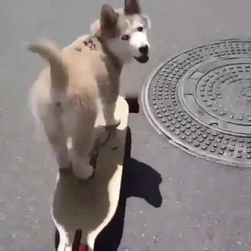 He was a skater boy. She said, “See you later, boy.