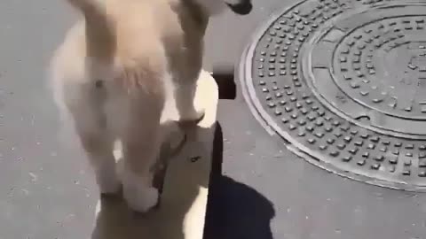 He was a skater boy. She said, “See you later, boy.