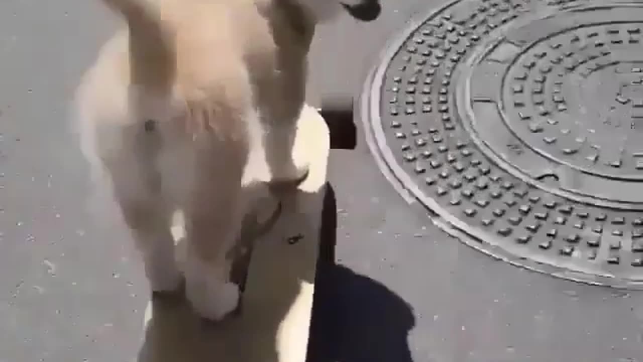 He was a skater boy. She said, “See you later, boy.