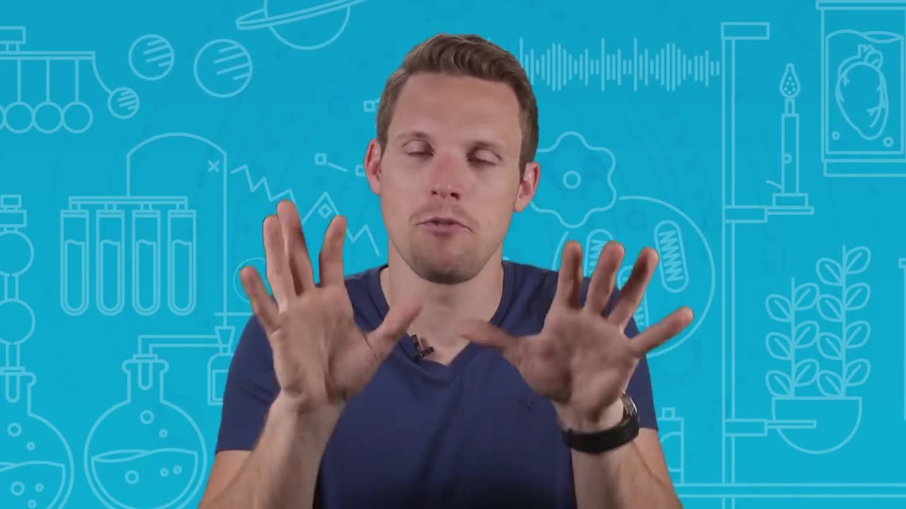 What Will Humans Look Like In A Million Years? | Earth Lab