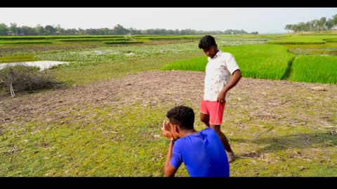 2021 FUNNY VIDEO TRY TO NOT LAUGH