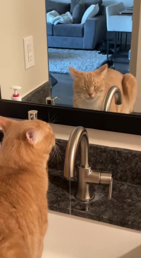 I got a killer hangover 🤣