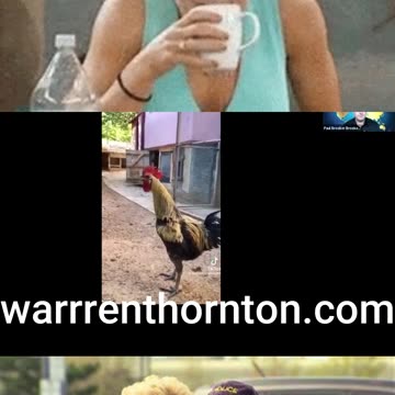 A REALLY IMPRESSIVE COCK