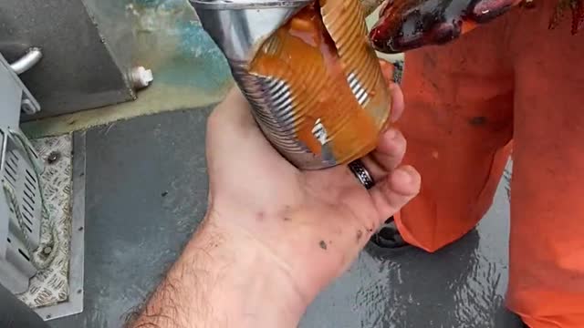 Lobster Cracks Open Canned Food