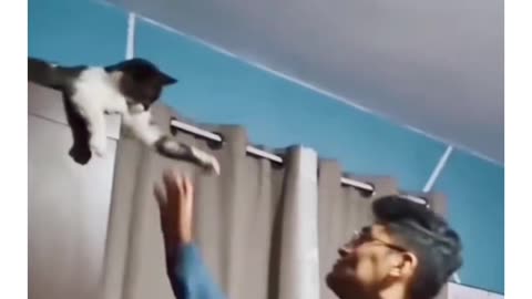 Fighting with cat