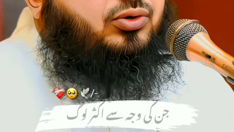 Allah hu akber 🕊️