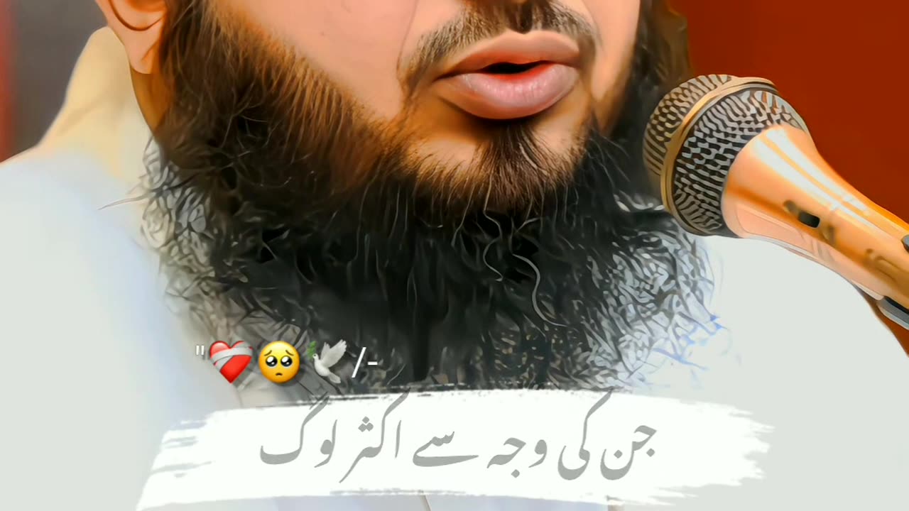 Allah hu akber 🕊️