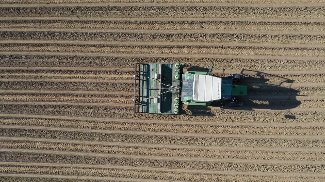 The Tractor Plant Seeds in Field