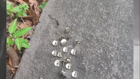 Thumbtacks scattered around Yishun puncture riders' tyres.