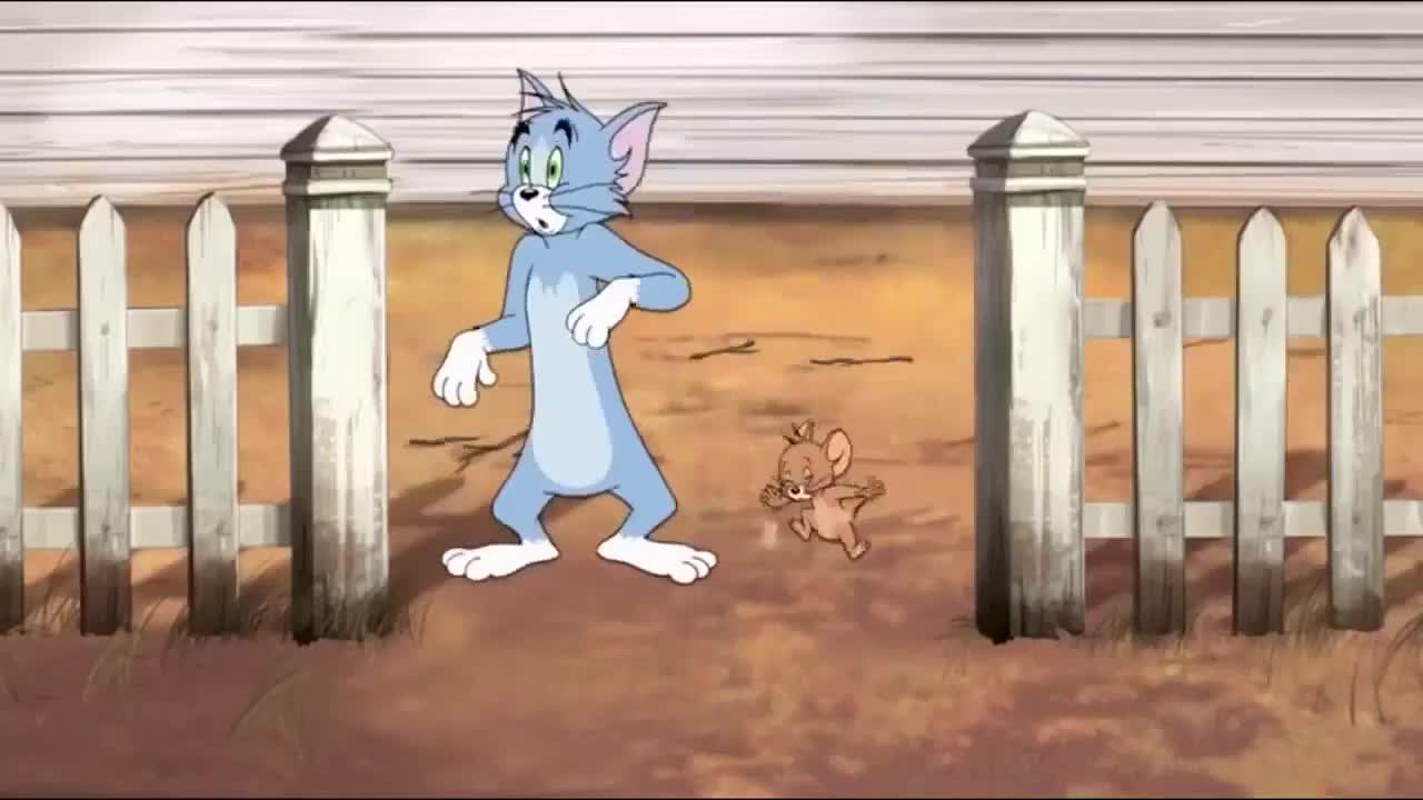 Tom and Jerry watched the cartoon cat and mouse, a beautiful and interesting episode