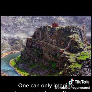 Fossils in rock and mud