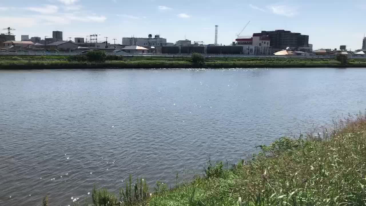 Nakagawa River on a Summer’s Day