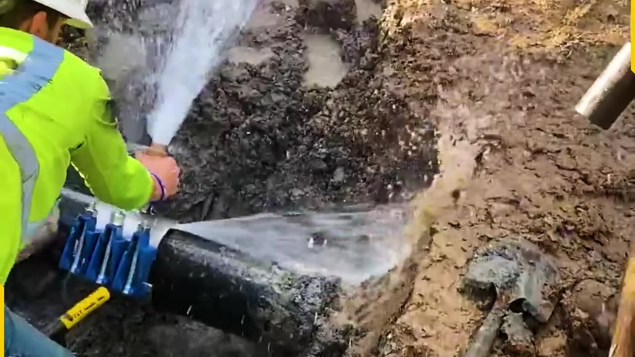 They didn’t saw that coming!
