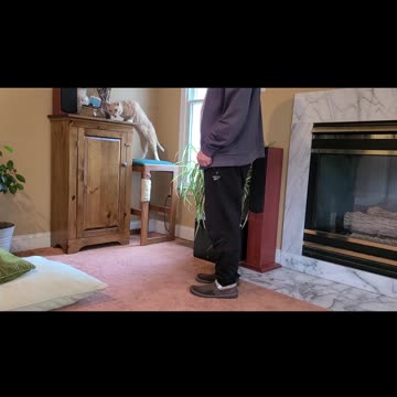 Flipper the Cat, Ep. 5: He Leaps for Treats
