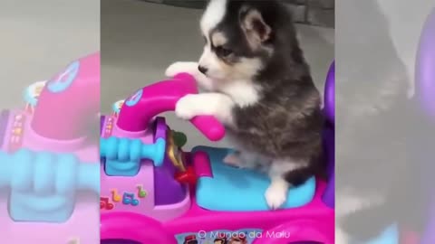 Riding a Very Cute Quad