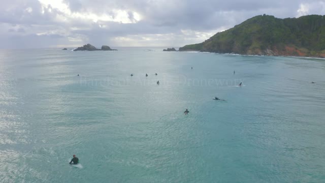 Broken Head Dolphins and Surfers enjoying waves in HD