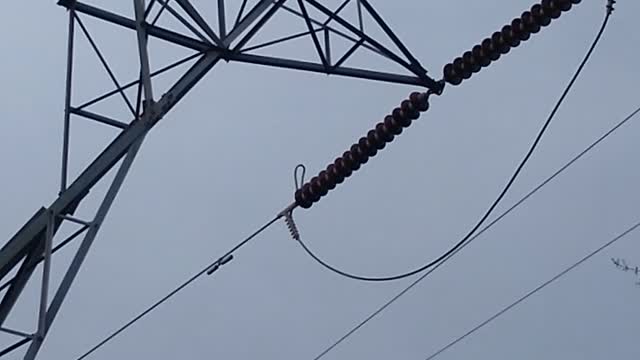 Giant vulture on high voltage Tower