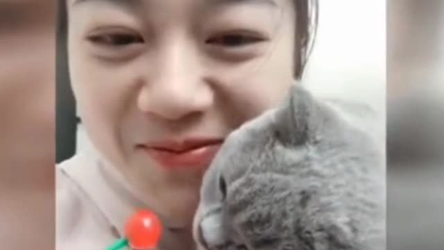 #Funny_clips_with_cats