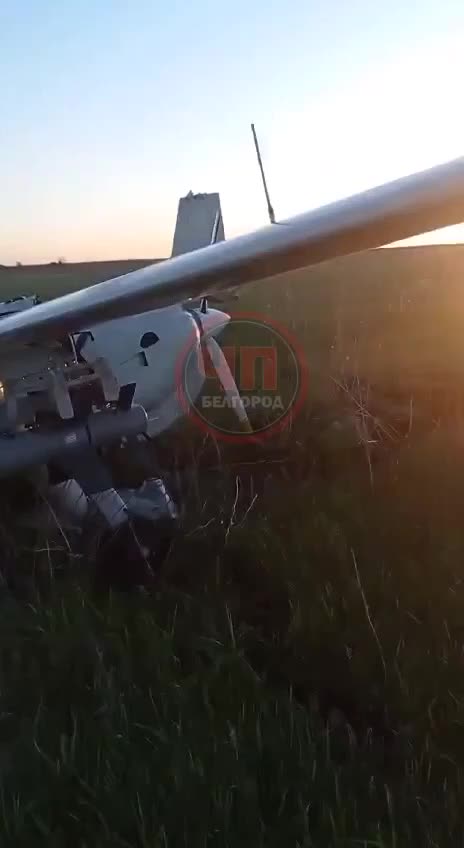 Iranian Mohajer-6 drone equipped with missiles fell in the Kursk region, Russia