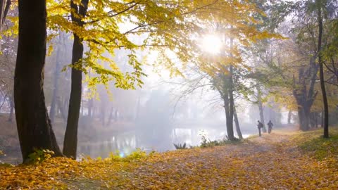 Enchanting Autumn Forests with Beautiful Piano Music