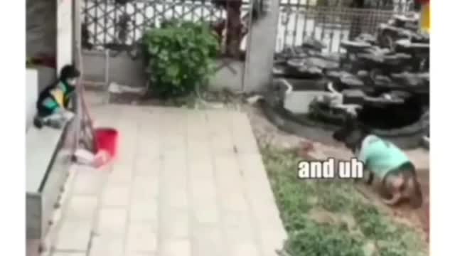 The dog is smarter than the girl