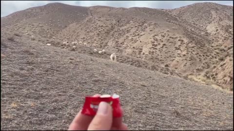 funny fails of the week... epic moments of fun TRY not to Laugh