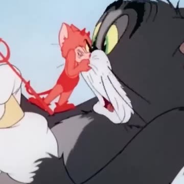 Несчастные коты (3)