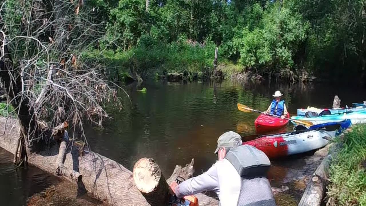 River Clearing Trip June 17 Lumber River near Laurinburg NC