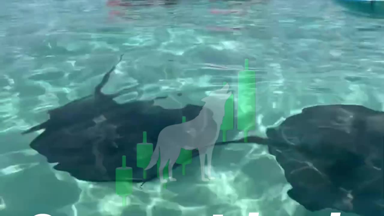 Discover 0% tax countries for crypto 🌍💼
