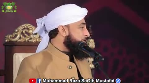 saqib raza mustafai