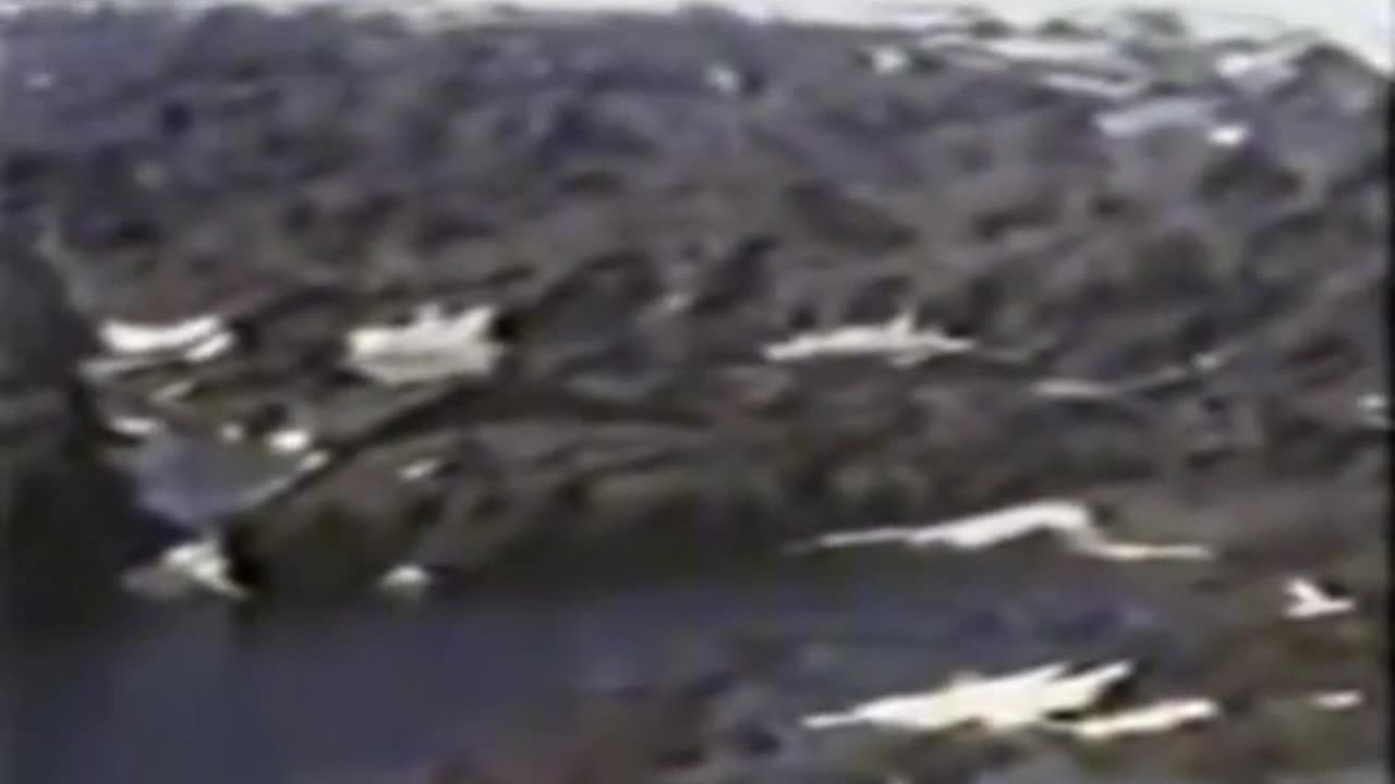 Beyond the ice wall you sheep