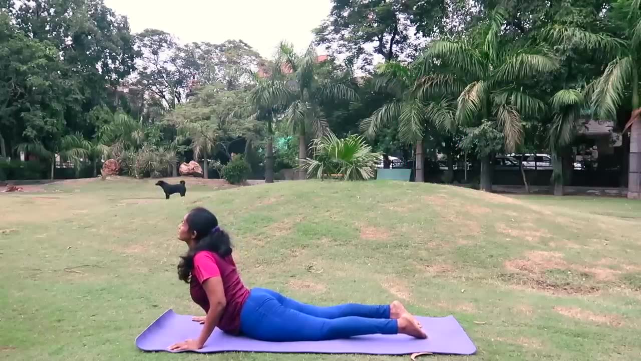 DON'T Do Surya Namaskars Like THIS 😩 (plus FAQs)