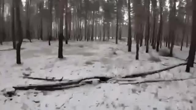 During a special reconnaissance in the area of the city of Kremennaya