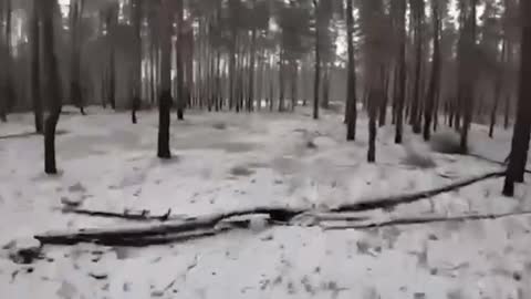 During a special reconnaissance in the area of the city of Kremennaya