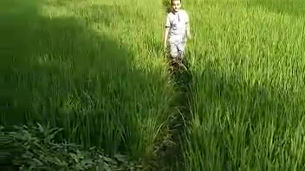 Children's Grandpas Village