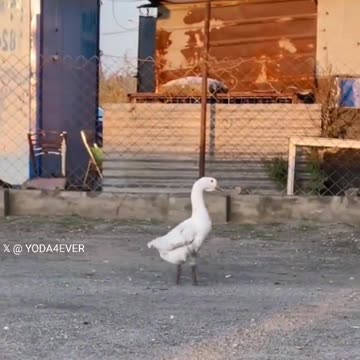 Too cute, but that one is ME!