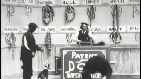 Historical Compilation 6