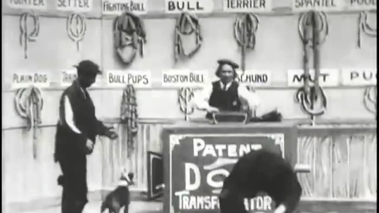 Historical Compilation 6