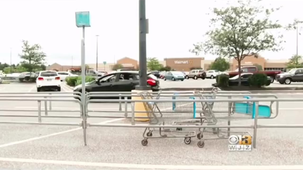 Walmart stealing spree gone wrong