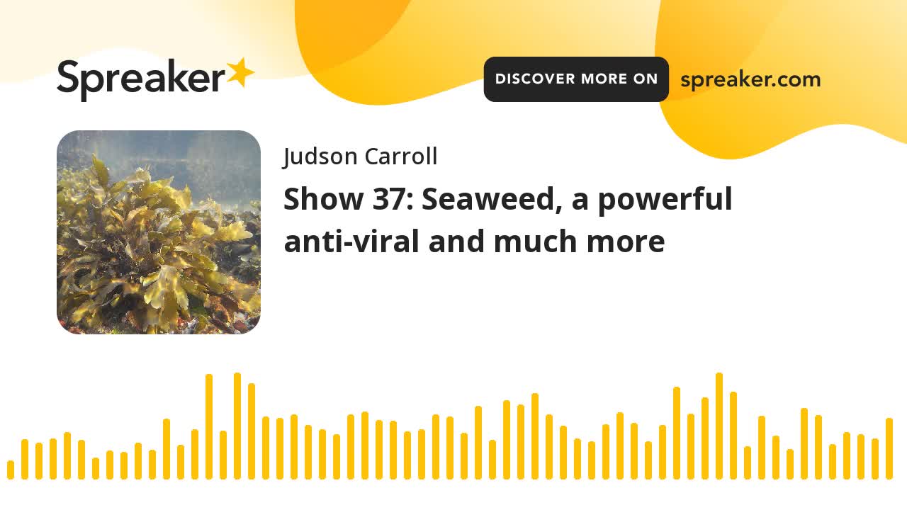 Show 37: Seaweed, a powerful anti-viral and much more (part 1 of 3)