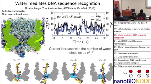 NanoBIO Interfaces (Aleksi Aksimentiev) nanoBioNODE 2017