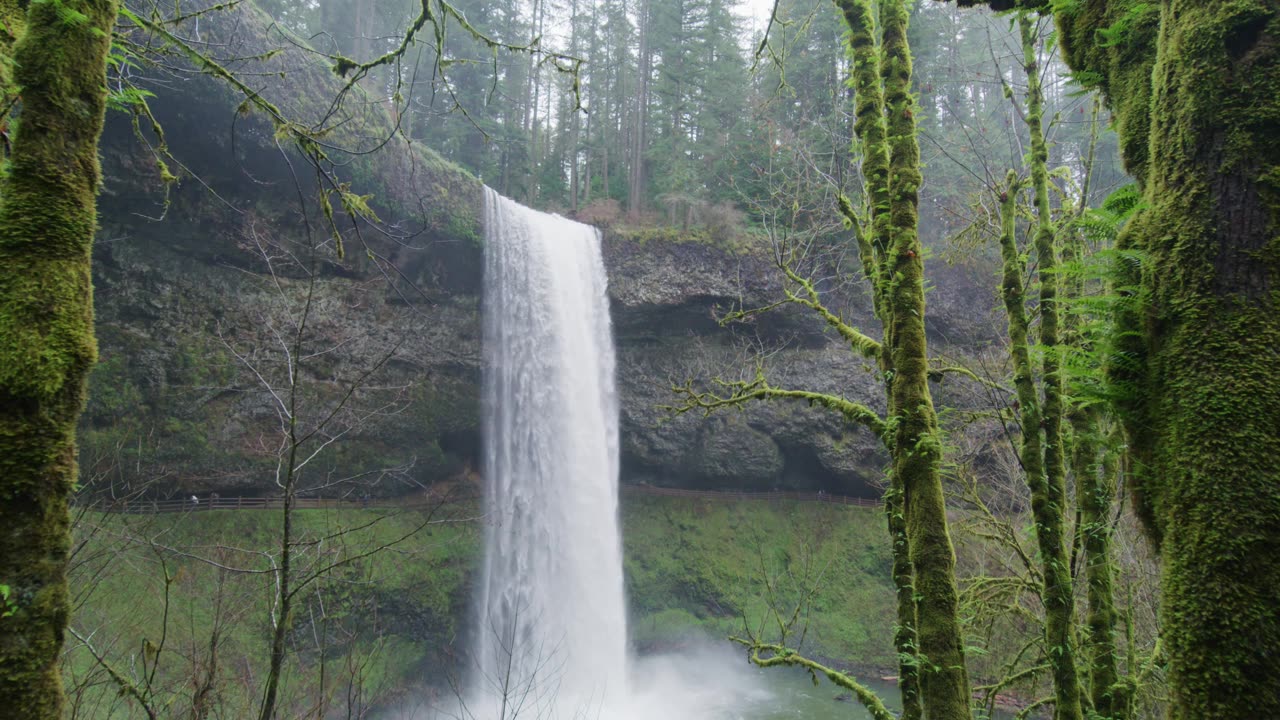 Waterfall view In Forest