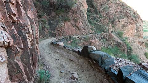 Donkeys leaving Phantom Ranch via the River Trail