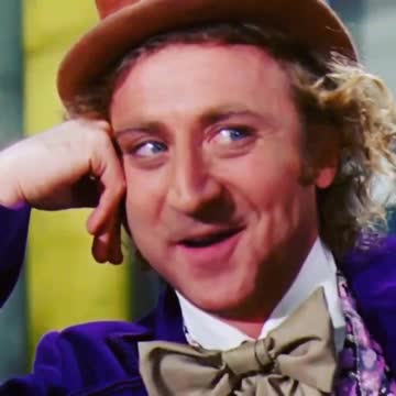 Willie wonkas view on joe biden