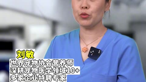 【Pets and Language!】Do dogs remember their parents after they grow up?狗狗长大之后还会记得他的父母吗